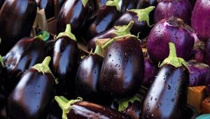 Is Eggplant a Fruit or vegetable